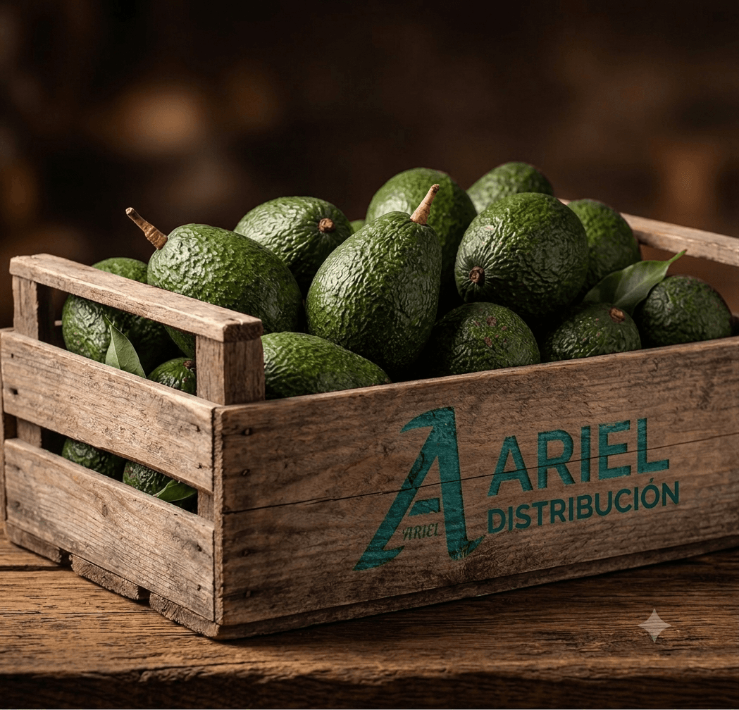 Aguacate